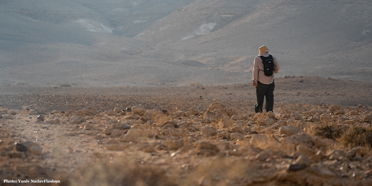 Man standing in desert in Israel
