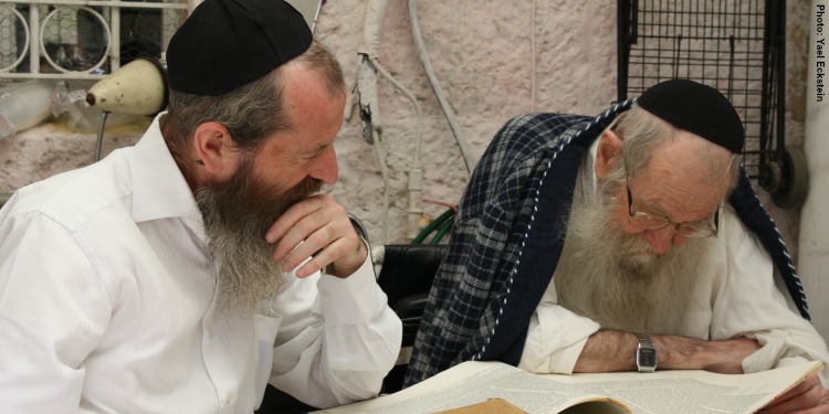 Two older Jewish men studying the Torah