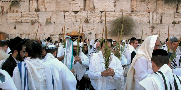 Men with four species at the Western Wall during Sukkot.