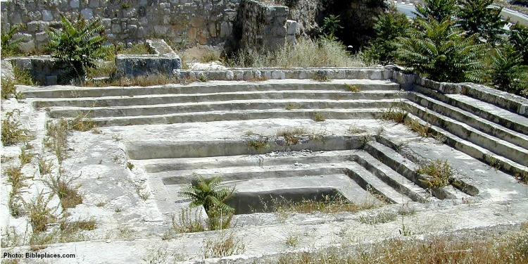 Stone steps in a square surrounded by shrubbery.