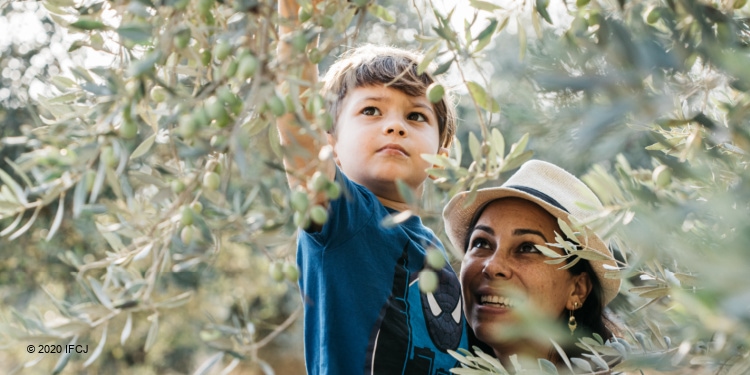 Yael Eckstein and son by olive tree in Israel to illustrate shmita year