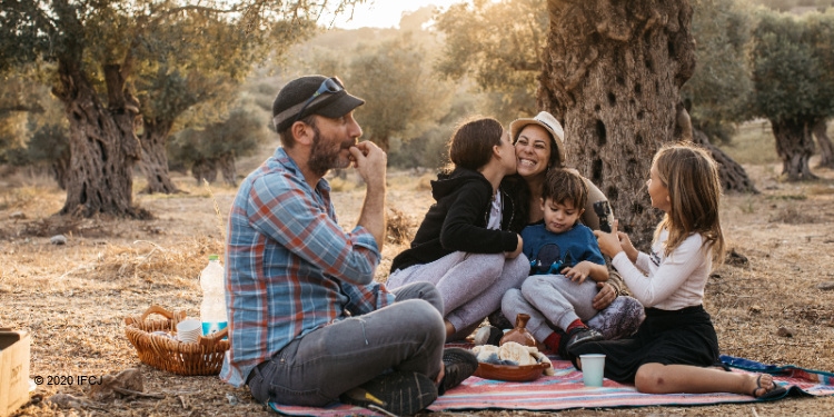 Yael Eckstein and family find shalom olive picking