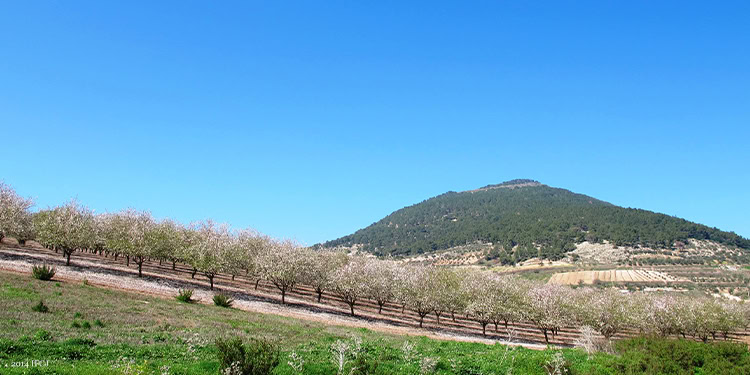 Mount Tabor in background on top of mountain