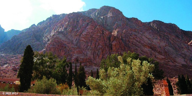 Current day Mount Sinai with trees in front of it.