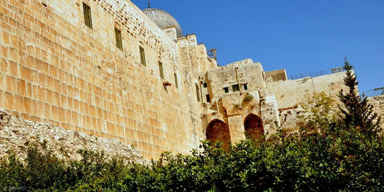 But the LORD has become my fortress, Psalm 94:21-22