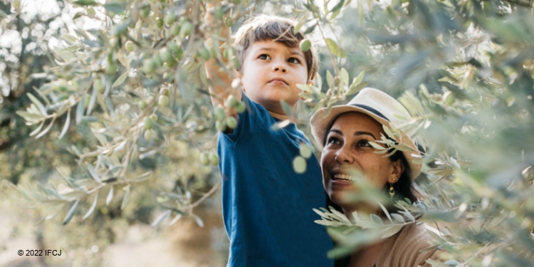 Yael Eckstein helping a young boy pick olives off a tree.