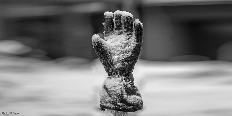 One winter glove with snow on it