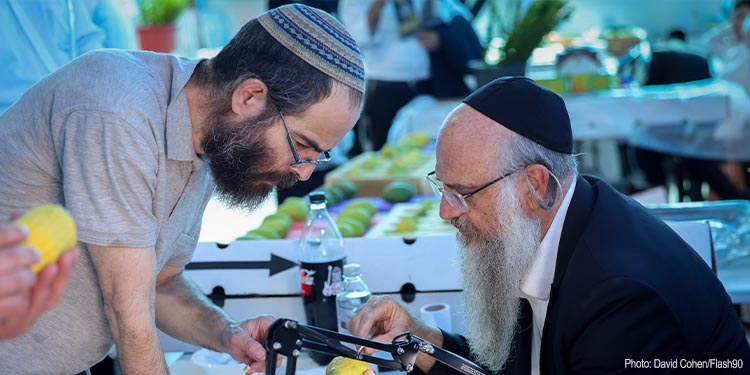 Orthodox Jews at 'four-species' market in Tzfat on Sukkot