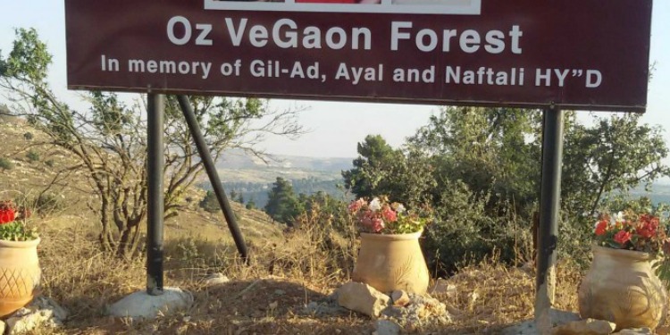 Sign at Oz VeGaon Forest in memory of Gil-ad, Ayal, and Naftali.
