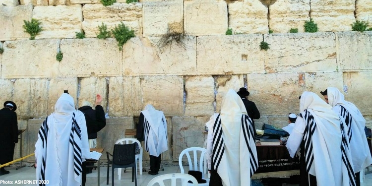 Several men in robes praying at the Western Wall.