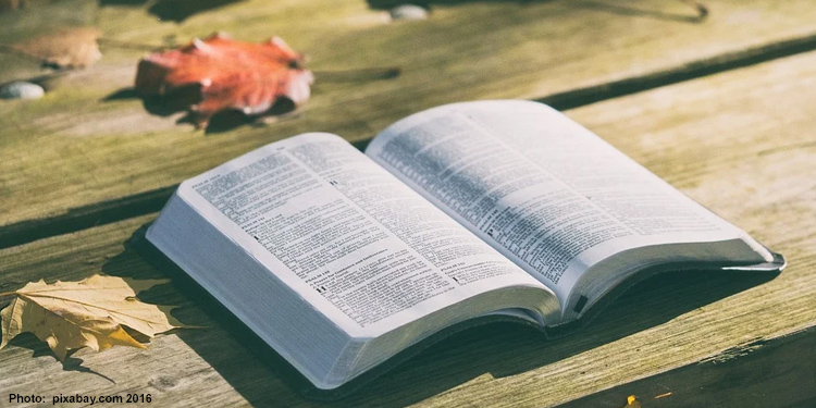 An open Bible laying on a wooden table with leaves on it.