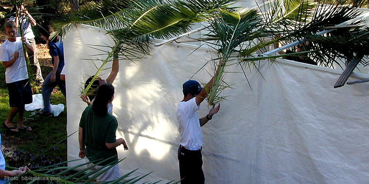 Young people place palm fronds atop their sukkah for Sukkot