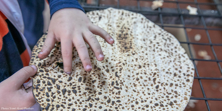 Child holding a matzah