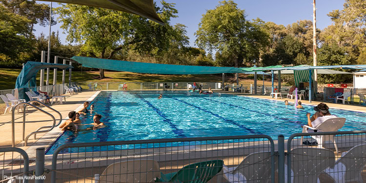 People swimming in the pool