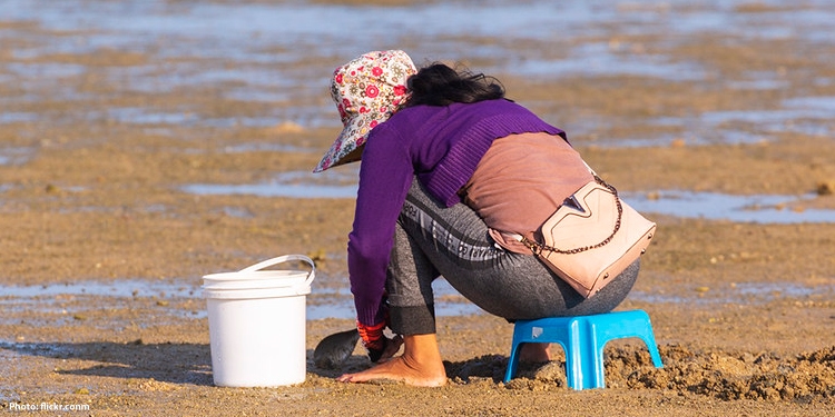 Person collecting shells on the beach