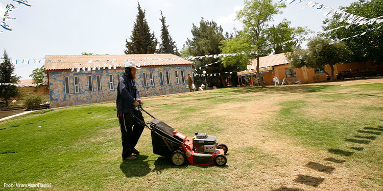 Person mowing the lawn.