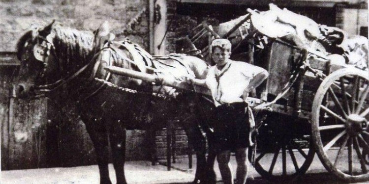 Black and white image of a young boy standing next to a horse drawn carriage.