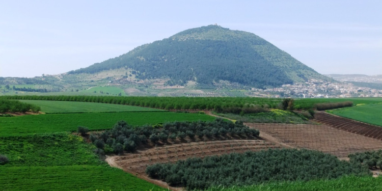 Mount Tabor, biblical site of story of Deborah and Barak, seen today