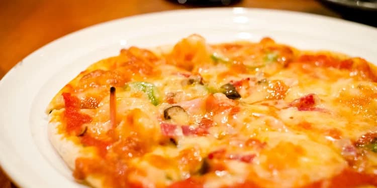 Close up image of pizza on a white plate.