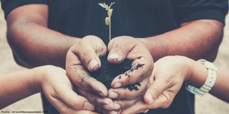 Close up image of two pairs of hands holding a budding plant.