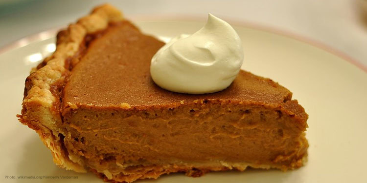 Image of a slice of pumpkin pie with whipped cream on top