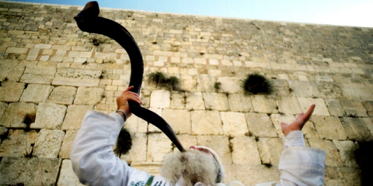 Man blowing a shofar in front of a brick wall.