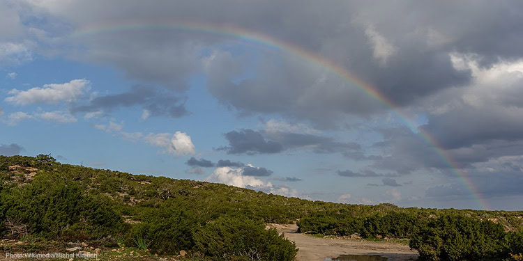 Rainbow in the sky, a la Noah and the Ark