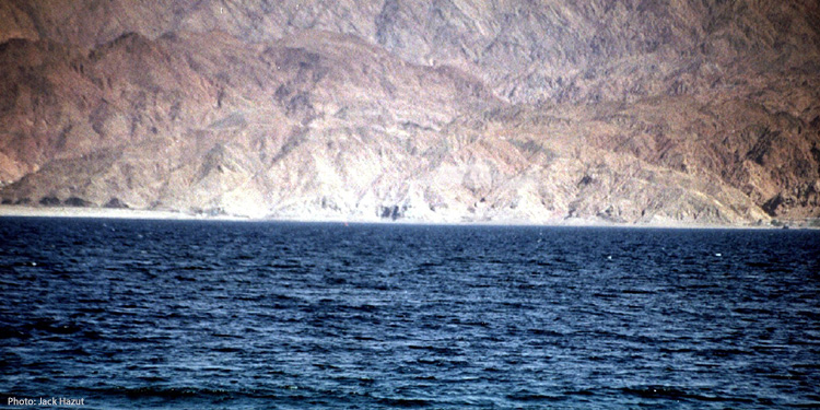 Image of the Red Sea