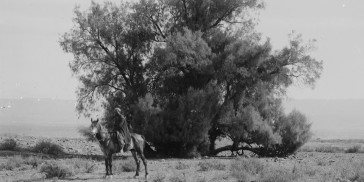 Photo Friday: Israel Crossed the Jordan on Dry Ground