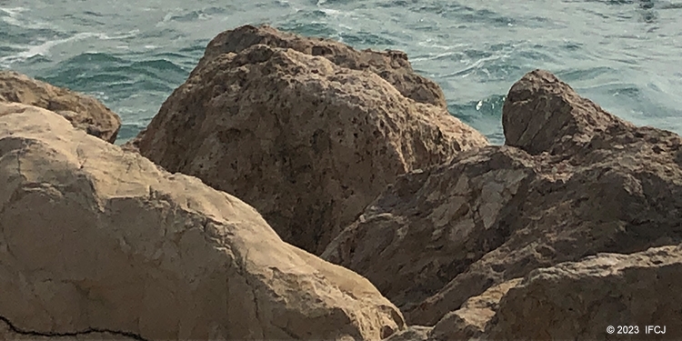 Rocks on the beach in Herzliya