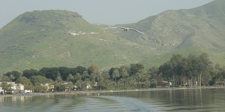 View of the Sea of Galilee from the water.