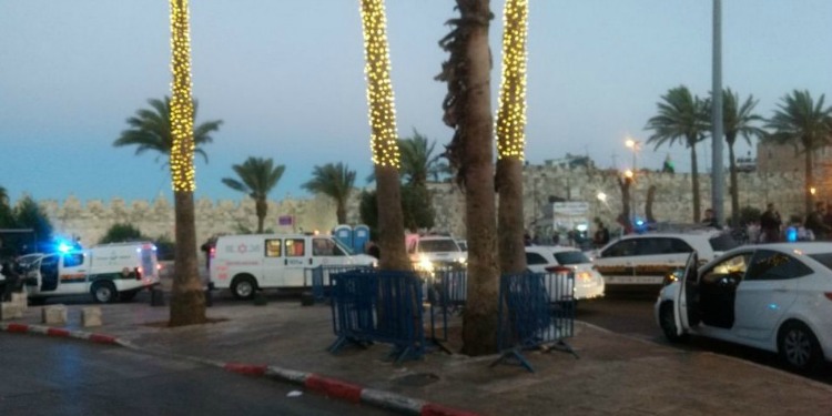 Several ambulance and police cars parked outside where a woman was stabbed.