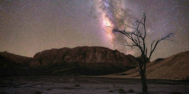 Several starts in the sky during the night in the middle of the desert.