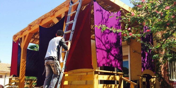 A man on a ladder building a Sukkah.