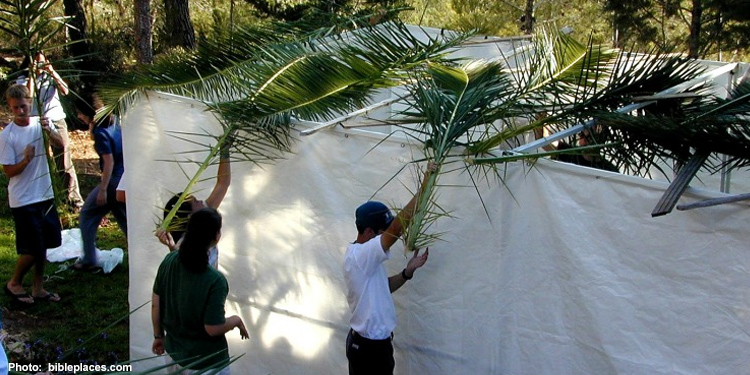 Children placing palm leaves on top of a white tent.