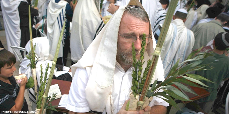 Man holding the four species for Sukkot