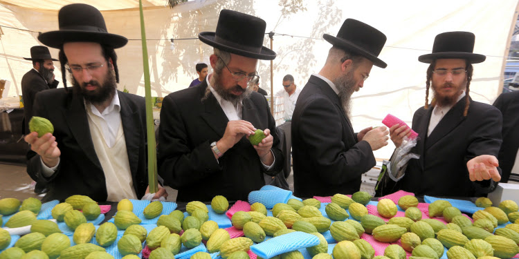 Four men going through fruit at an Arba Minim market.