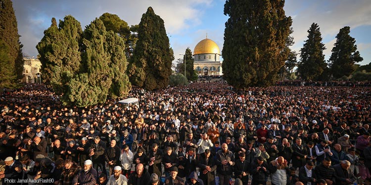 A group of people looking at the Jerusalem temple