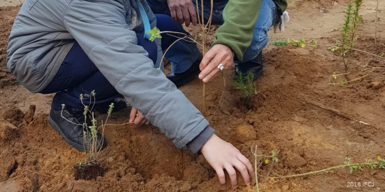 Elderly and Youth join together to plant herbs.