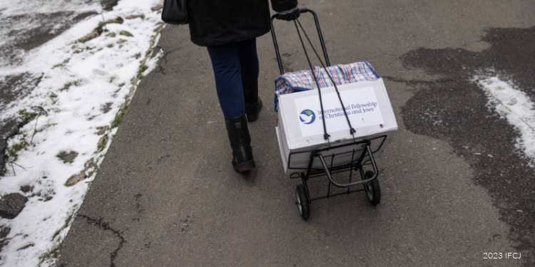 IFCJ trip to Ukraine and Moldova in early February 2023, branded logo food box, woman pull hand cart trolley with branded logo food box down sidewalk, snow, winter clothing, black coat, jeans, seen from behind