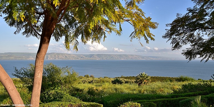 Trees on top of a hill with mountains and a lake behind them.