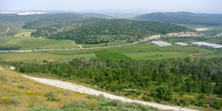 Valley of Elah, where David and Goliath fought, as seen from Tel Azekah
