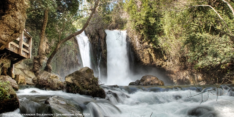 A waterfall flowing into a river that's among greenery.