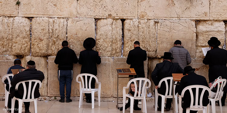 Western Wall Board Trip