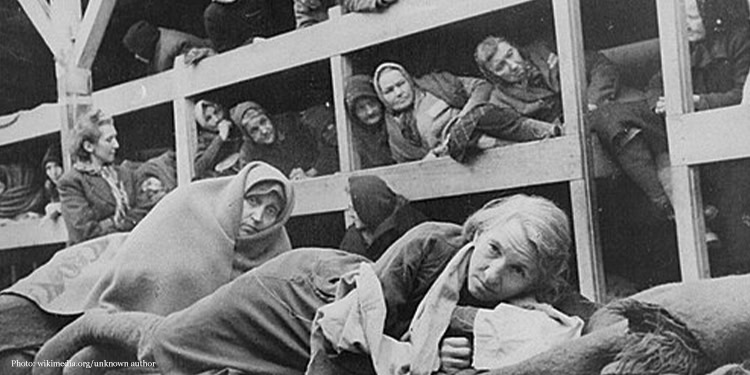 Women in the barracks of the newly liberated Auschwitz concentration camp