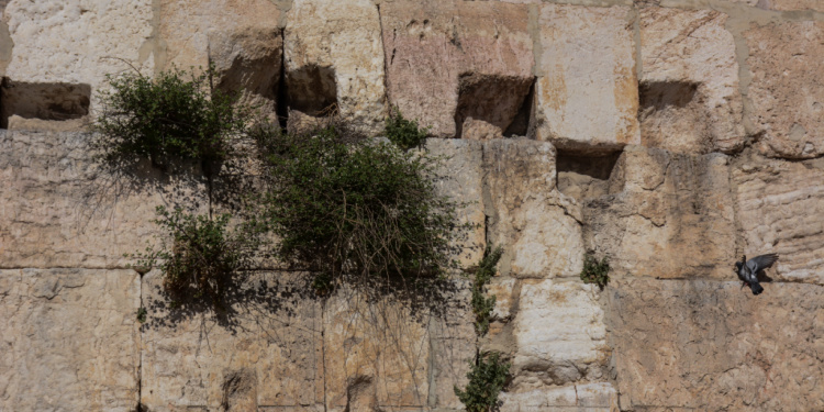 The Western Wall in Jerusalem, Israel.