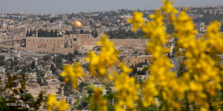 An aerial view of the city of Jerusalem with flowers taking up most of the view.