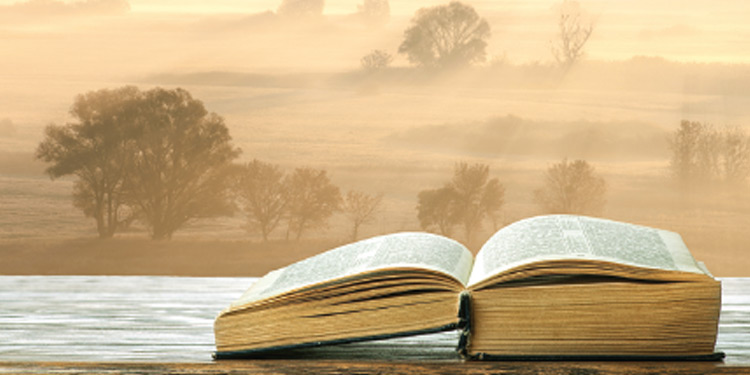 The Bible lying on a table against a background of trees.