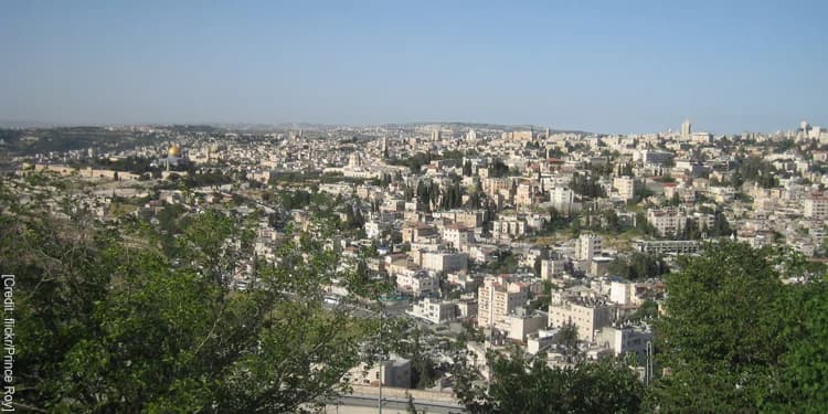 Aerial view of a city full of trees and buildings.