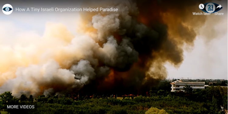 wildfires